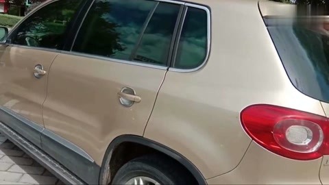 胡桃图片色图 色图色图需配合其他软件使用