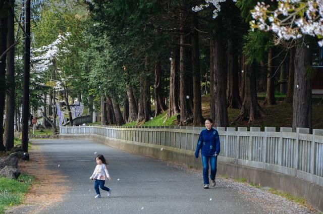 邪恶庄园啄木鸟海报