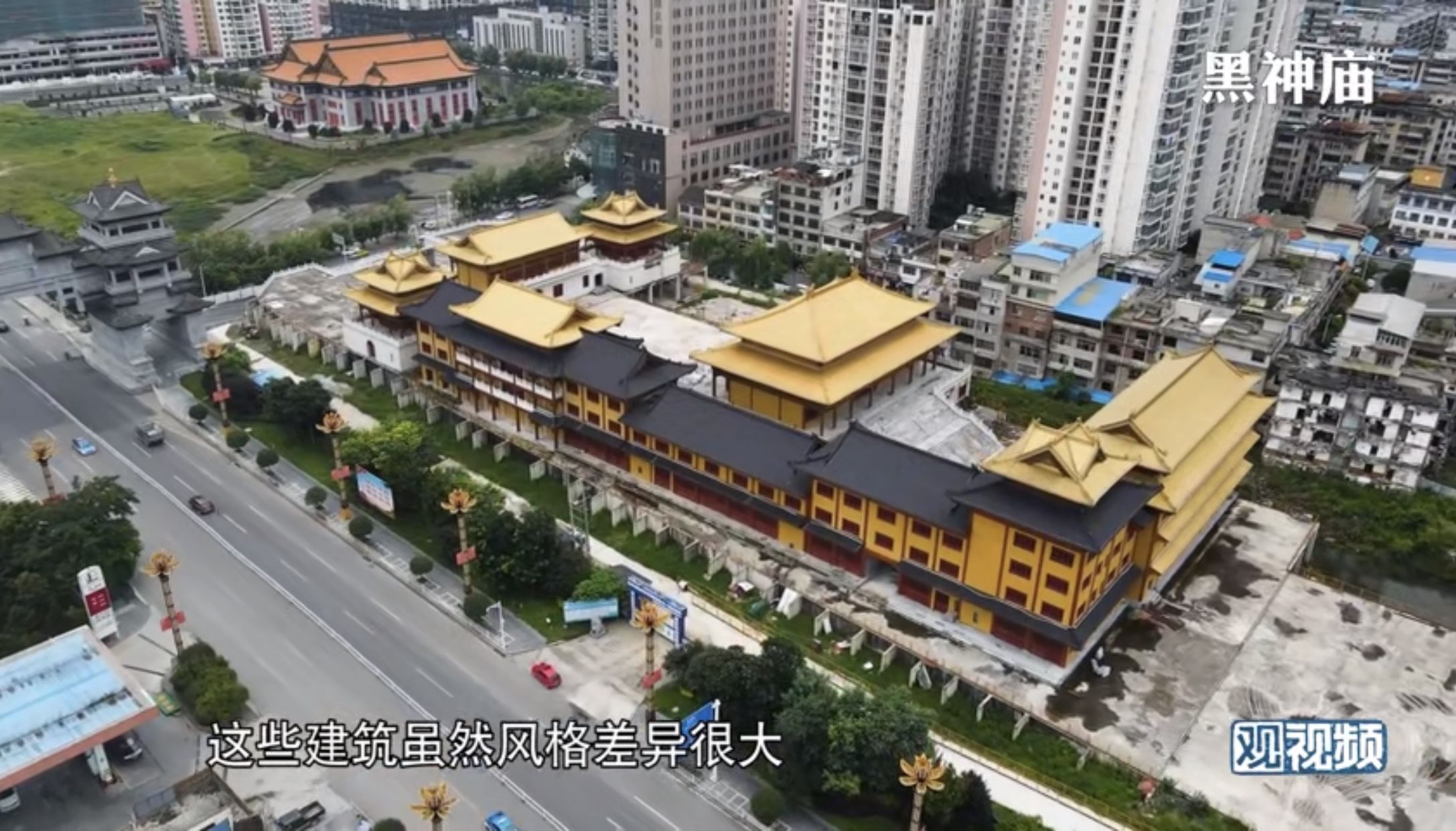 我的主人啄木鸟 啄木鸟是木鸟你窗外的常客