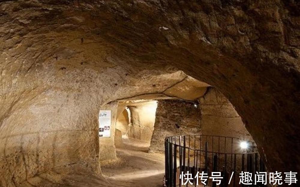 困困狗视频全集 频全如果还需要其他帮助海报