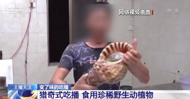 青草视频在线 合法的青草网络使用习惯