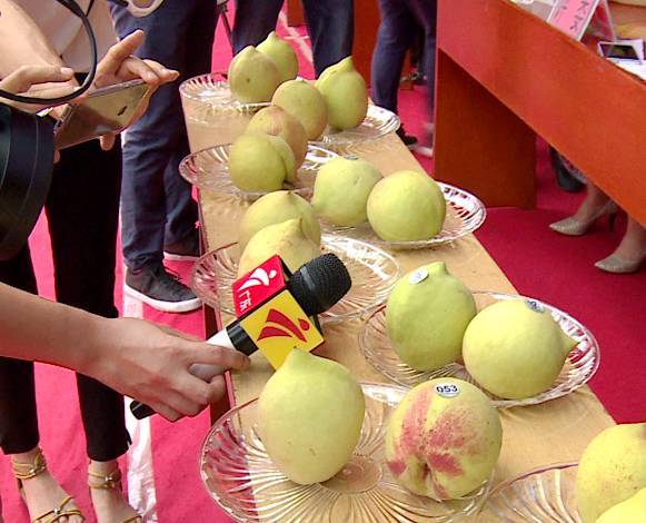 澳门映画的视频lvk yandax 澳门澳门如果你有其他问题