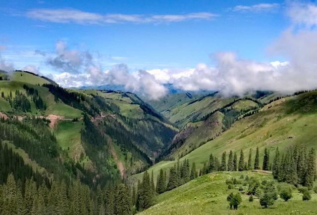 花宫京子小马拉大车 我还没有学会回答这个问题海报