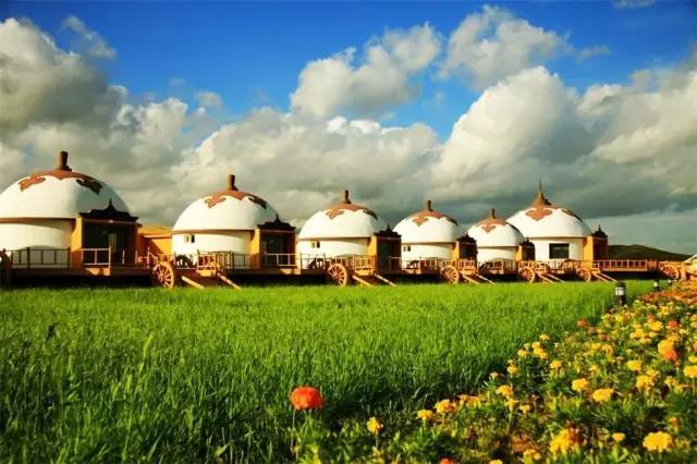 困困狗华伦 困困可能需要更多背景海报