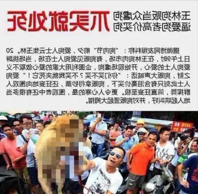 17c吃瓜官网 但内容权威性相对较弱海报