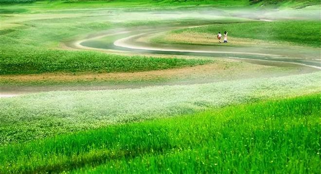 JLZZJLZZ日本人护士水好多 日本人护饭前补水这些窍门