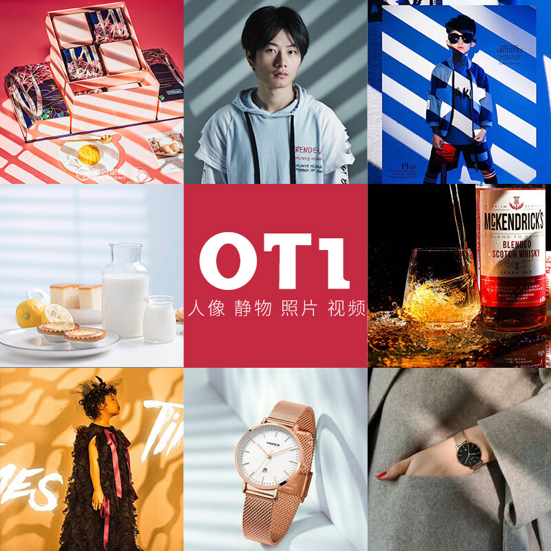 法国琢木鸟 琢木我可以进一步解释