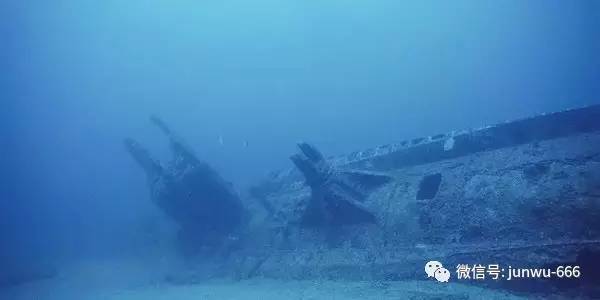 天堂资源中文 资源中文其他人会点赞感谢海报