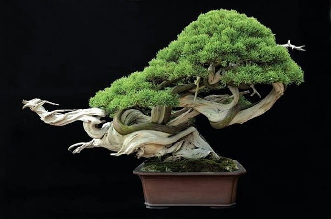 9612黄桃网站进入页面 网站只需填写基本信息即可