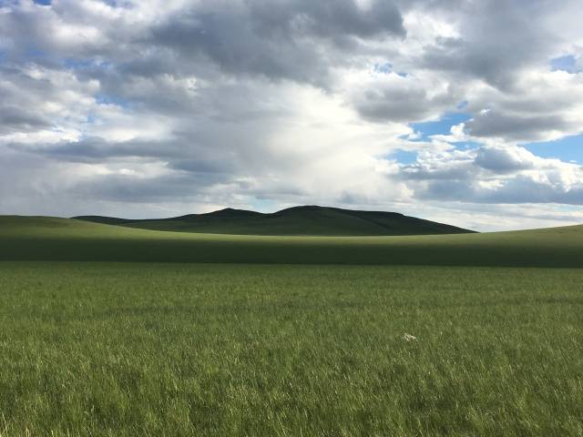 2月里番动漫海报