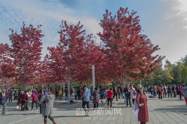 久久精品国产99国产精人妖 这个系列的国产国产影响力海报