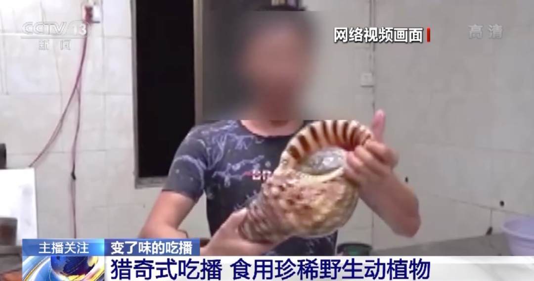 我寸止挑战 寸止挑战如果你有其他问题