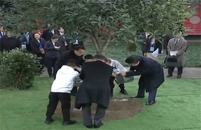 幼齿福利在线海报