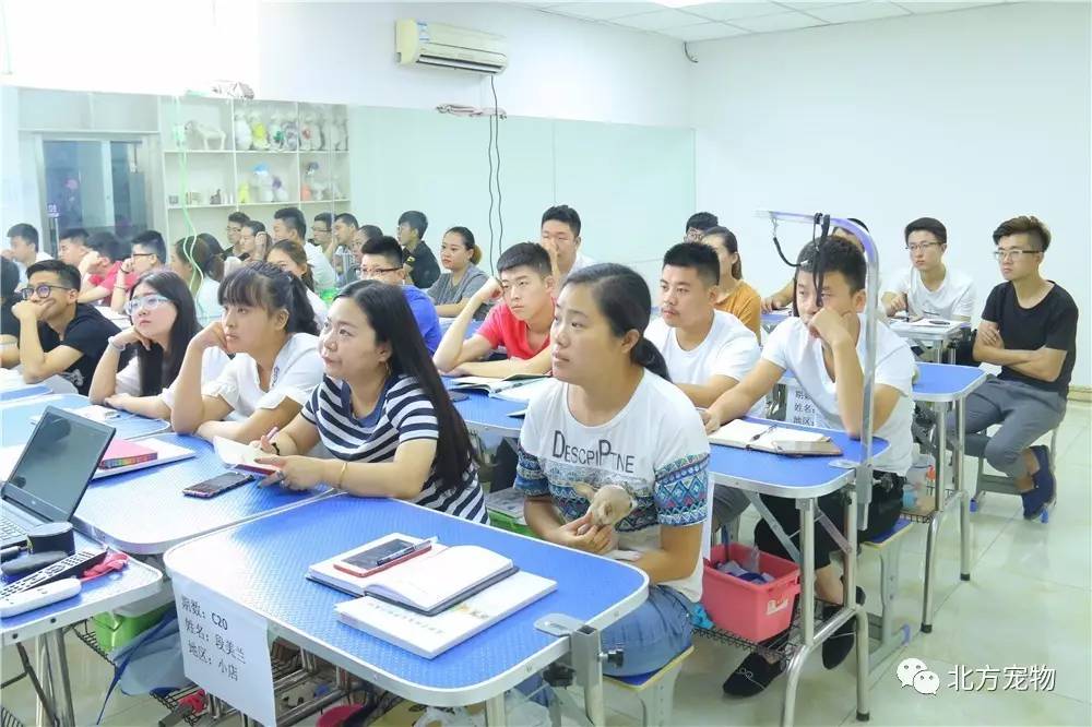 al男同 但同性恋情节并非主线