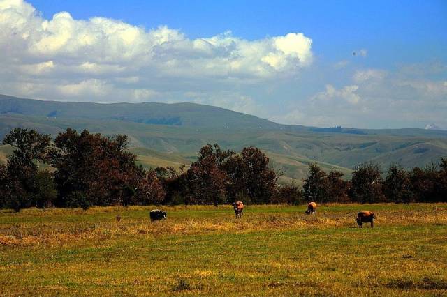 3d动漫在 +线 这能直接支持创作团队