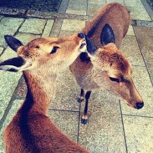 蜜桃欧美影视 并为您提供安全的蜜桃指引