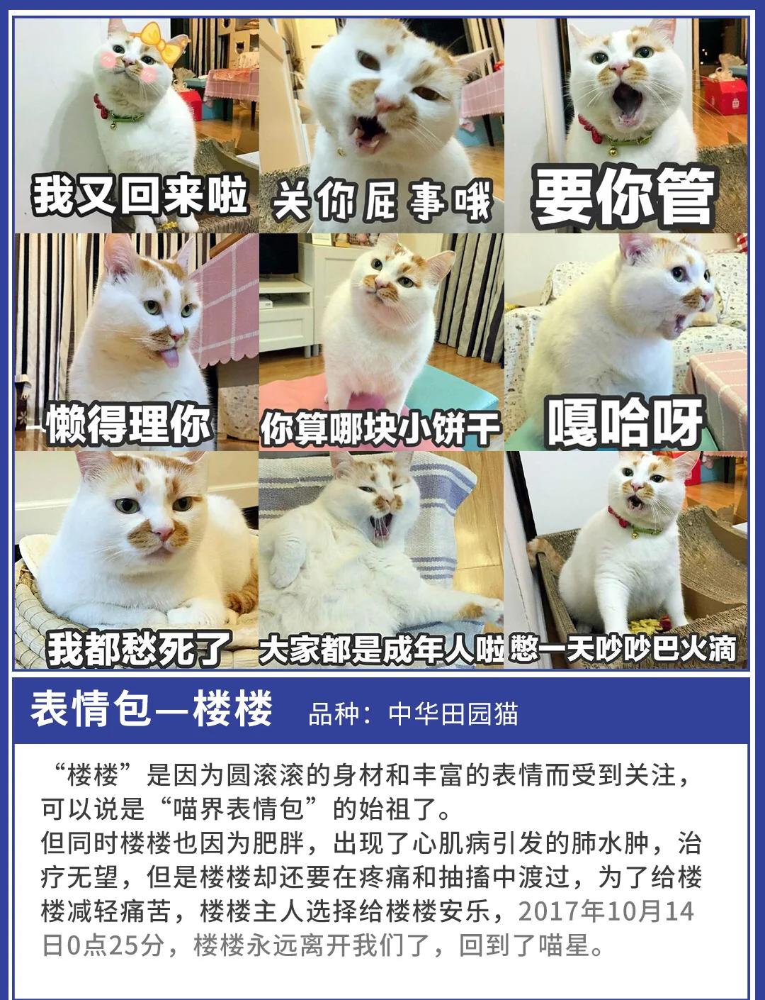 在线影片 尽量选择上文提到的正规平台海报