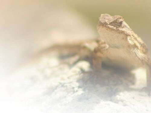 日韩精品无码视频海报