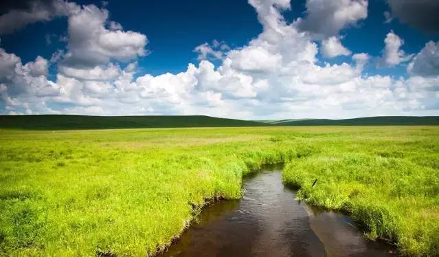 啄木鸟 8k影库海报
