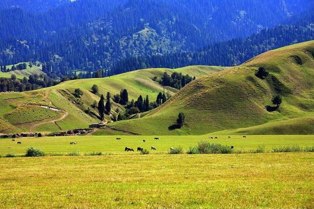 x动漫 复杂关系和深刻主题著称