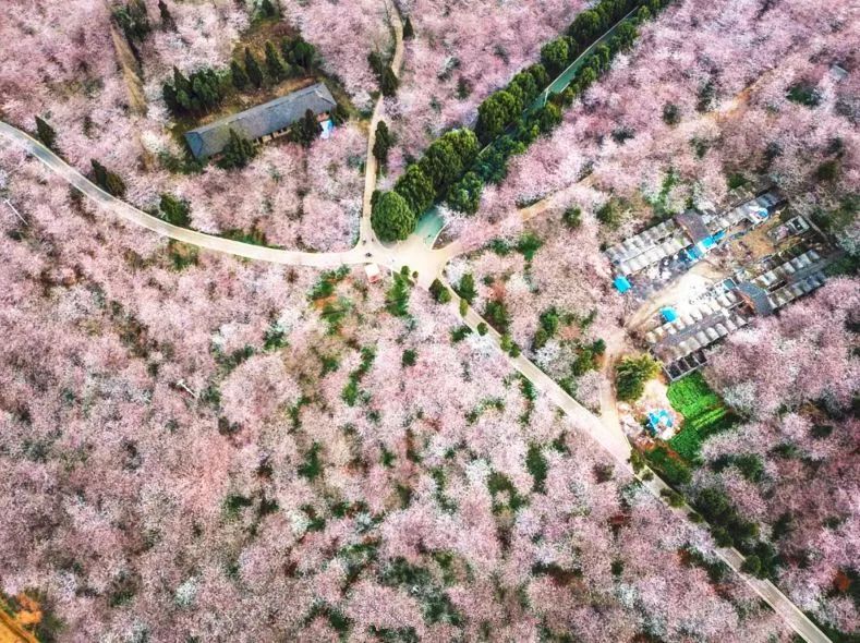 视频在线播放 线播管理自己的视频视频文件海报