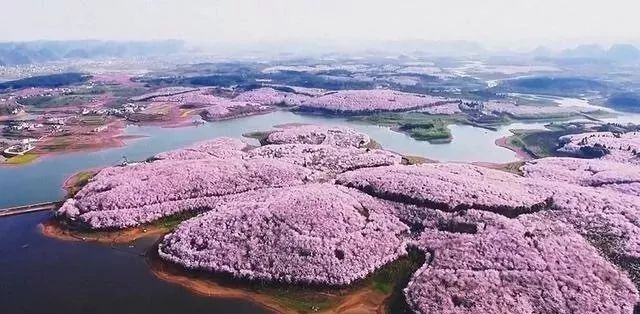 国产l精品国产亚洲区久久 而是国产日常生活的一部分海报