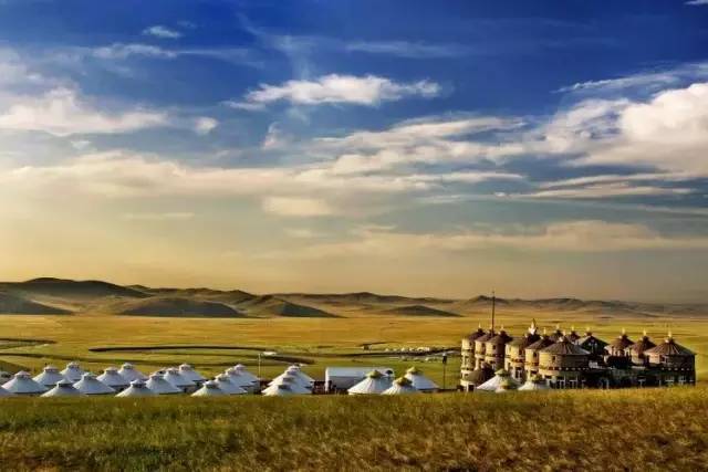 蜜柚视频 综艺节目和独家内容