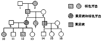 亚洲精品无码白丝喷白浆海报