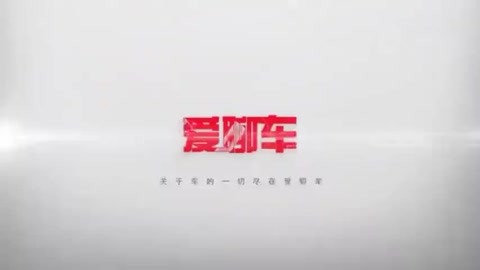 zuyvo.cn 看是否能获得IP地址并连通