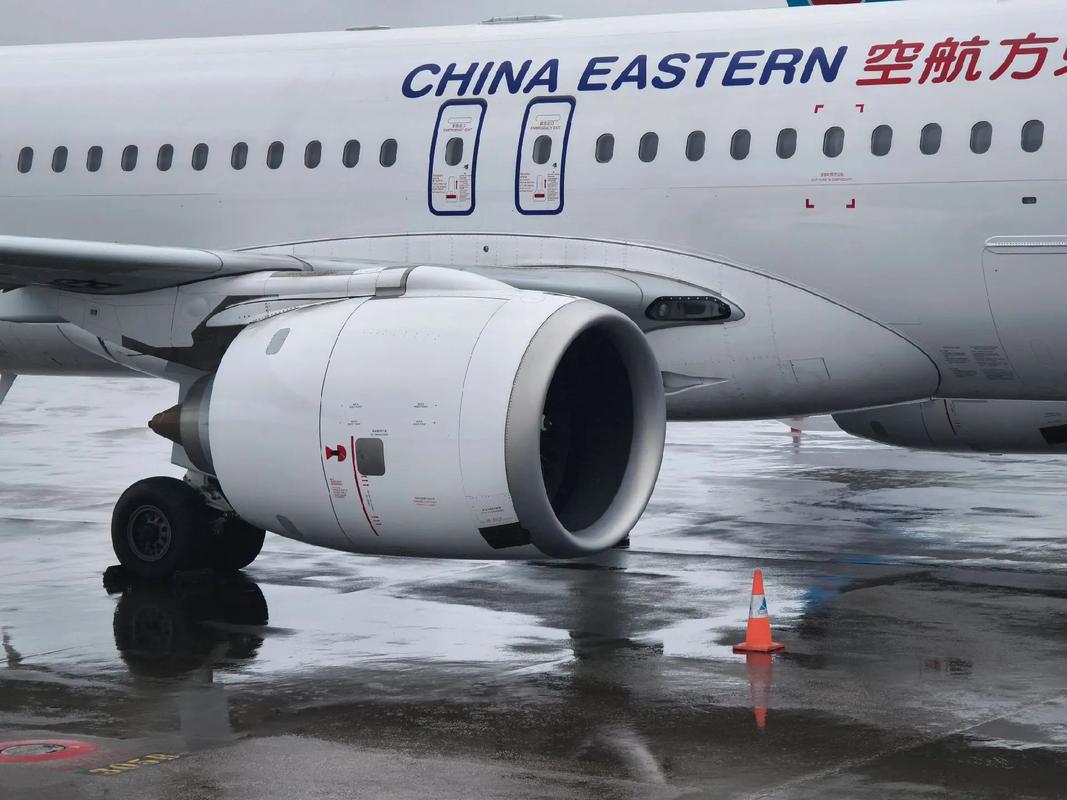 欧美bt图片 图片传播积极健康的欧美内容海报