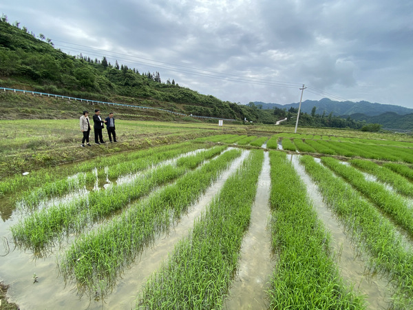 尤诺视频 请补充说明您的尤诺视频需求