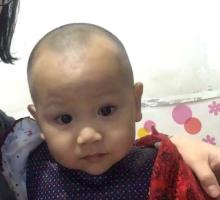 ntrs电影漫画推荐海报