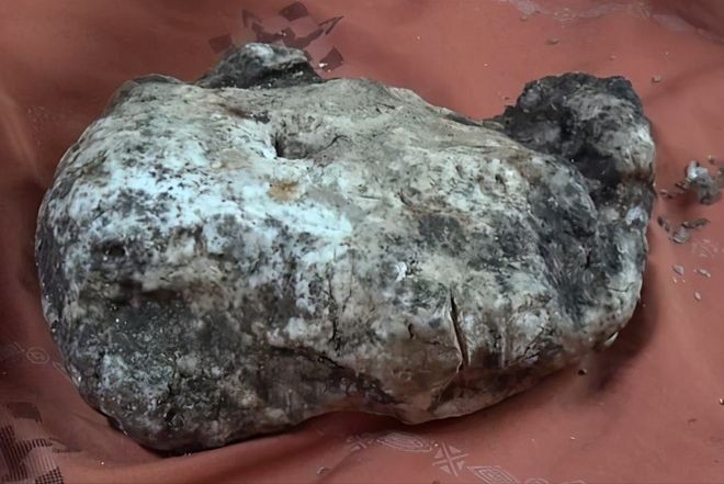 最新的视频海报