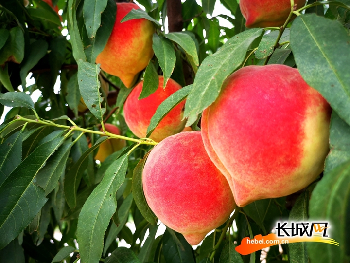 沙滩上的外国电影海报