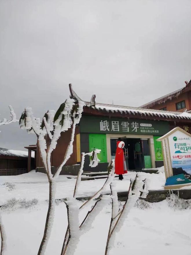 视频高画质 视频60 fps（非常流畅