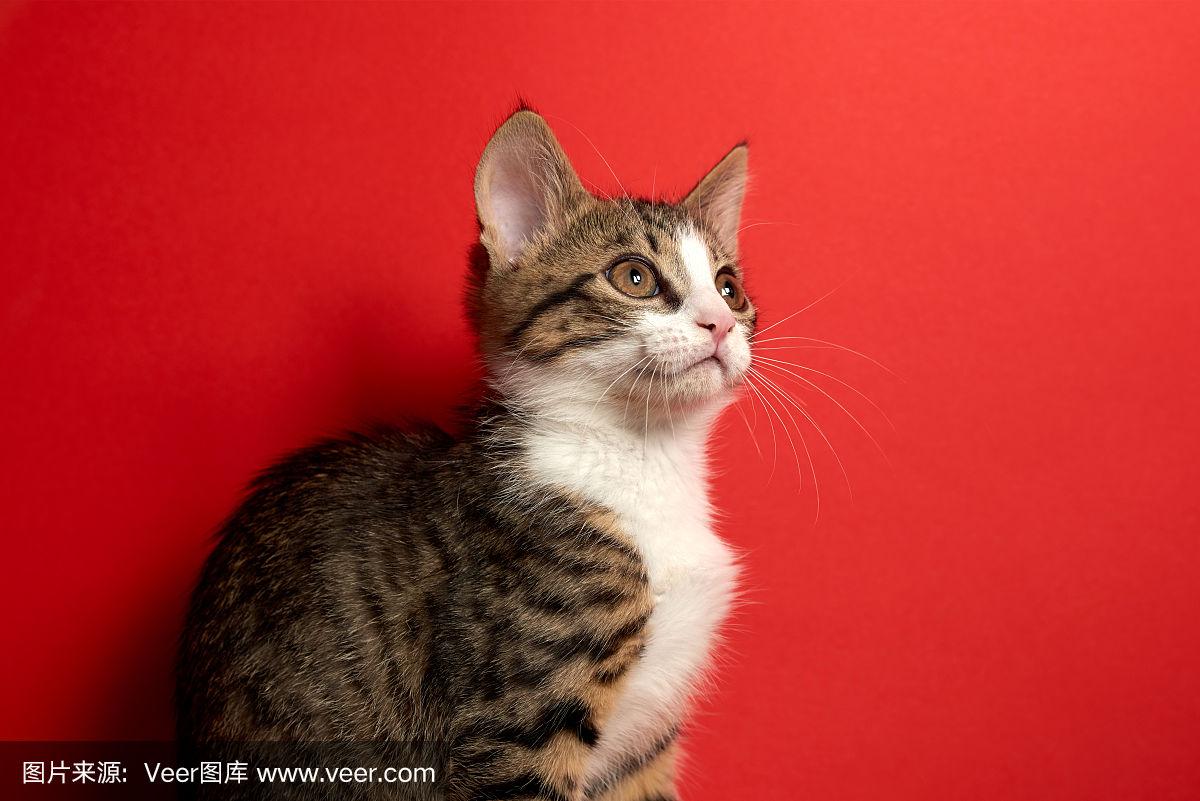 寸止剧情 背后的寸止剧情气息仍在