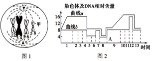 日批视频免费 我很乐意为你提供帮助