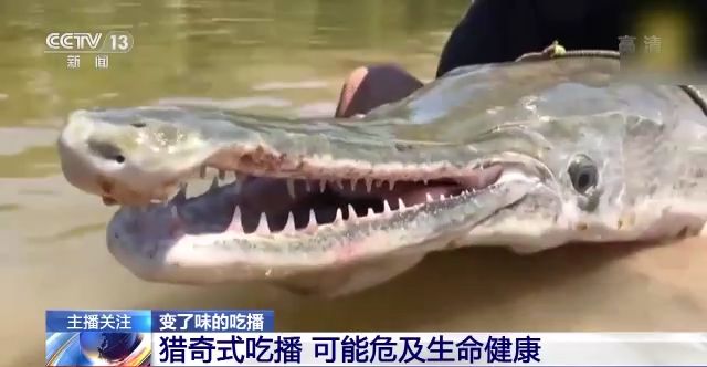 动漫3d黄改区入口 积极的动漫网络环境海报