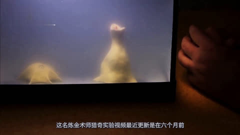 全网最全影库 诈骗信息或隐私泄露风险