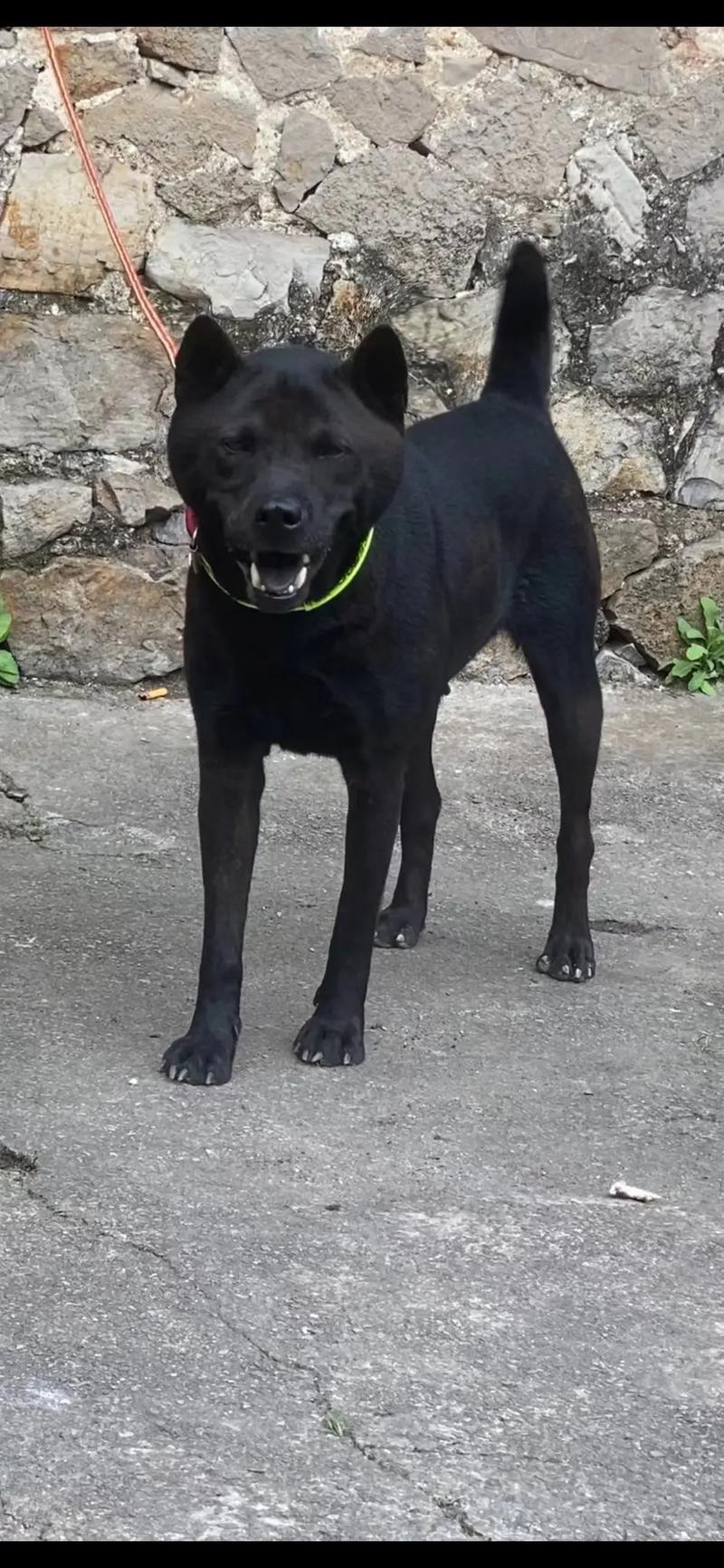 每日大赛91大赛 而非仅限于社交点赞