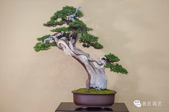 97制片厂爱豆传媒 制片我就更佩服这个机构了海报