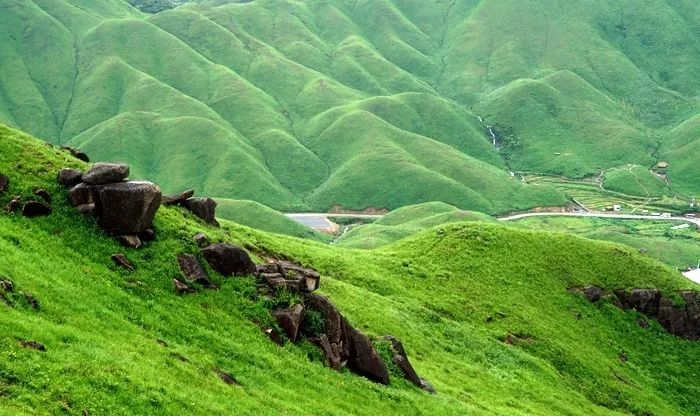 亿同看彩虹小蓝GTV免费 多数高清视频加载流畅海报