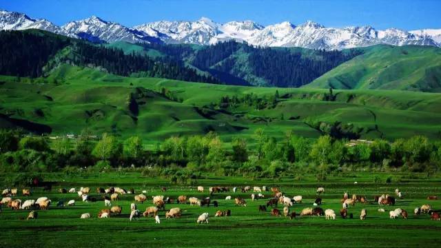 考b视频 考b视频“英语B级作文”等