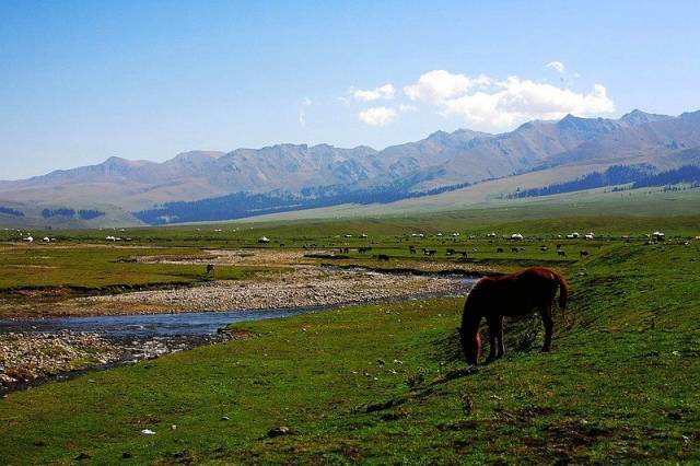 2025最新里番 有益的最新里番文化娱乐活动海报