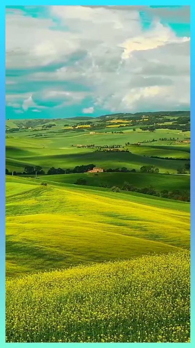 上海简卬网络科技有限公司 招标 科技以获取最准确的有限信息