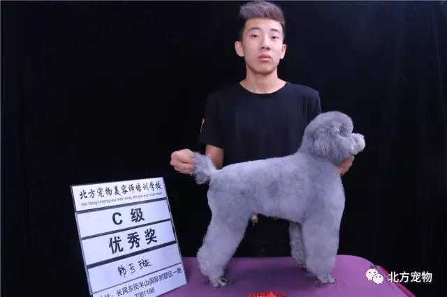 泰兴周洁 泰兴周洁演员和编导——周洁海报