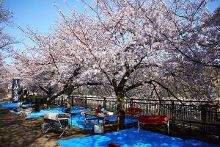 51黑料今日反差大赛 大赛容易引发传播与共鸣海报