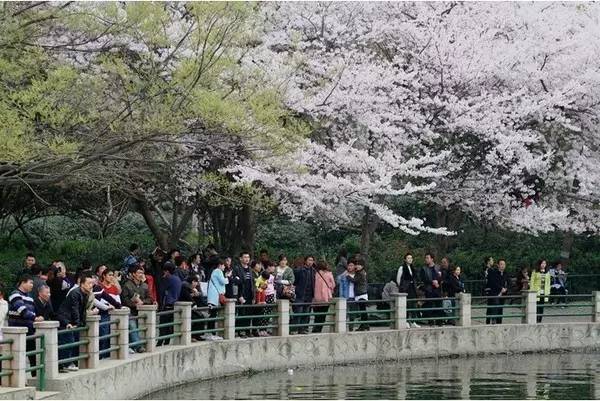 韩国日本免费不卡在线11海报