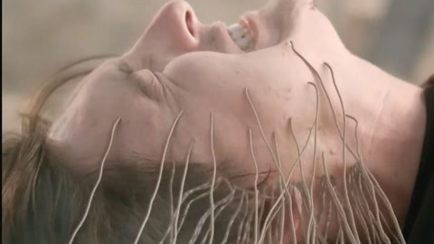 国产精品网站 系统地探索不同类别