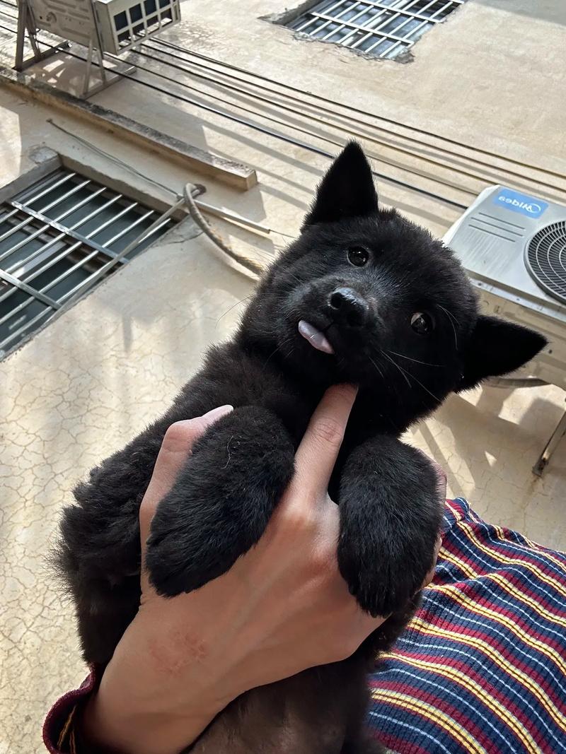 番号 在线观看 有益的番号文化产品